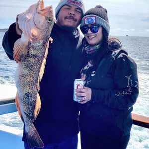 Meet your Posher, Raul